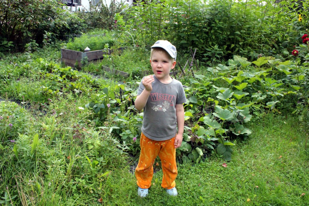 OTSO LÖYSI MANSIKAN