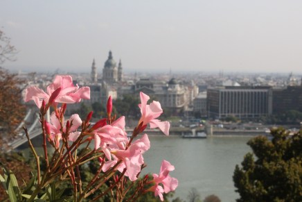 paikallisväriä budapestissä