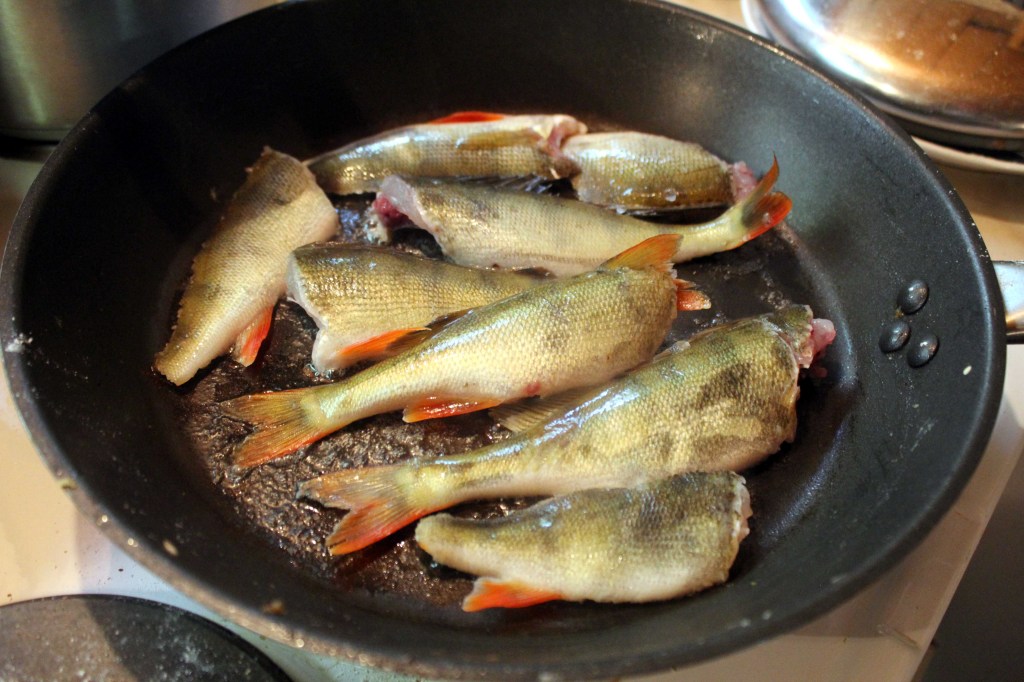 OTSON AHVENET PANNULLA