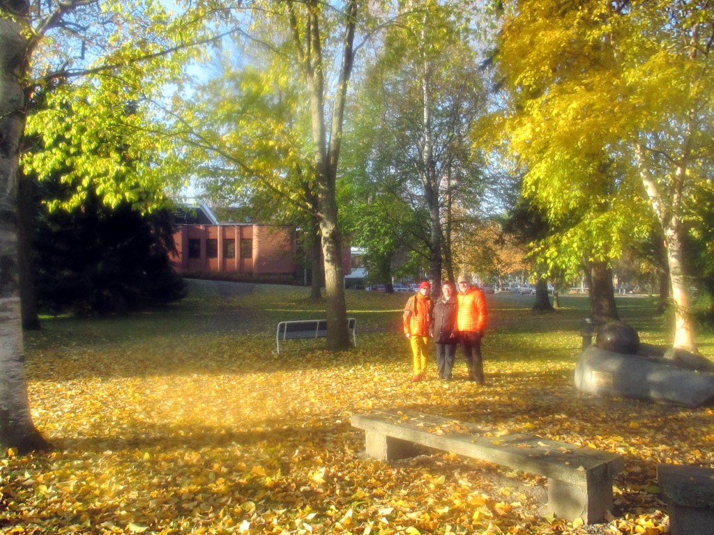 REIPPAILIJAT LINNANPUISTOSSA