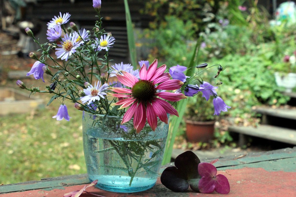 SYYSKIMPPU OMASTA PIHASTA