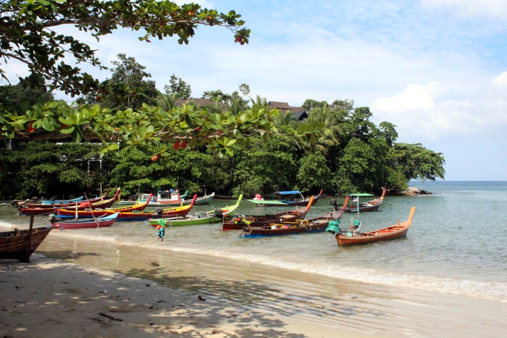 KORISTEELLISIA PITKÄHÄNTÄVENEITÄ 