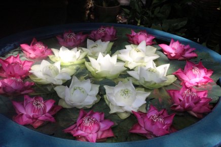 päivä jim thompsonilla ja siam&nbsp;paragonissa