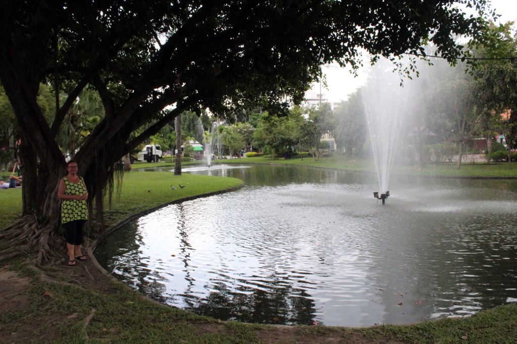 VEHREÄ PUISTO VANHASSA KAUPUNGISSA
