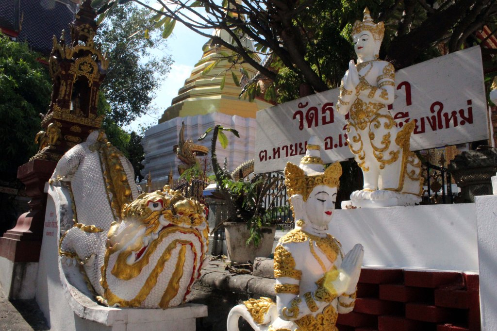 HURJIA LOHIKÄÄRMEITÄ