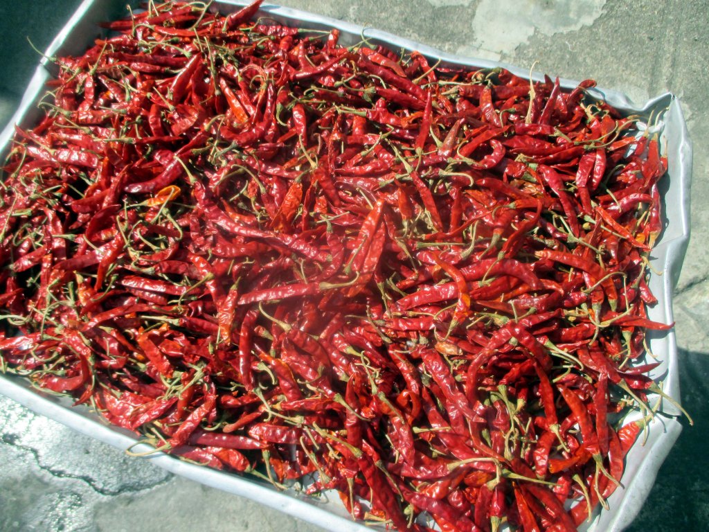 AURINKOKUIVATTUJA CHILEJÄ