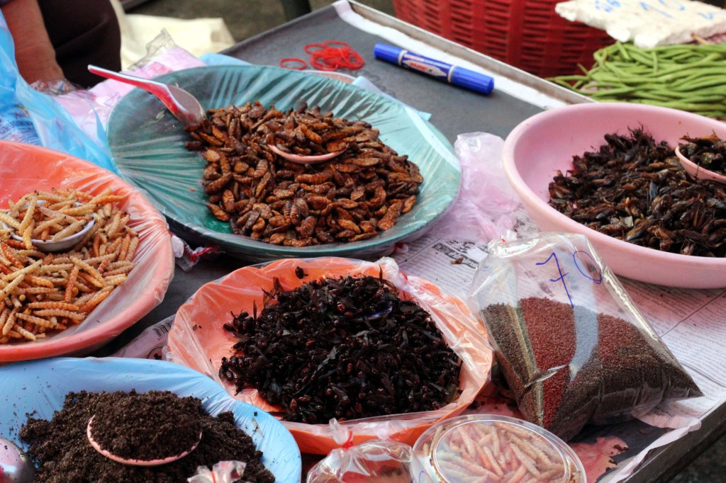 TULEVAISUUDEN RAVINTOA