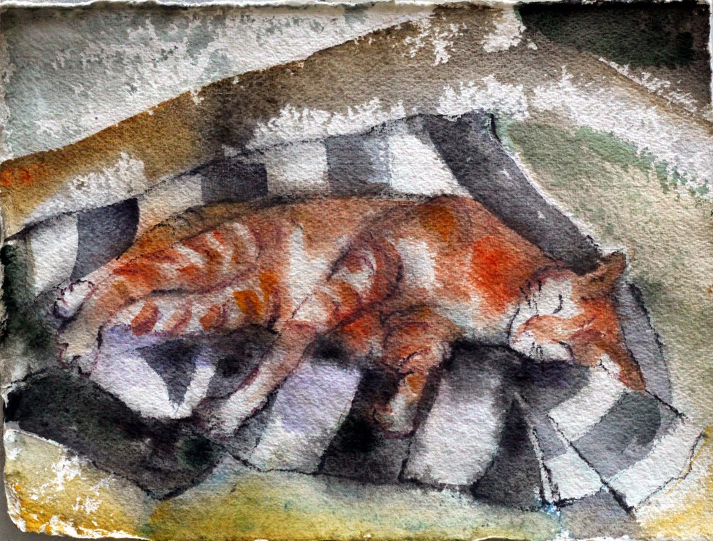 KISSA LEPÄILI MYYNTIKOJUN VIERELLÄ PUISTIKOSSA