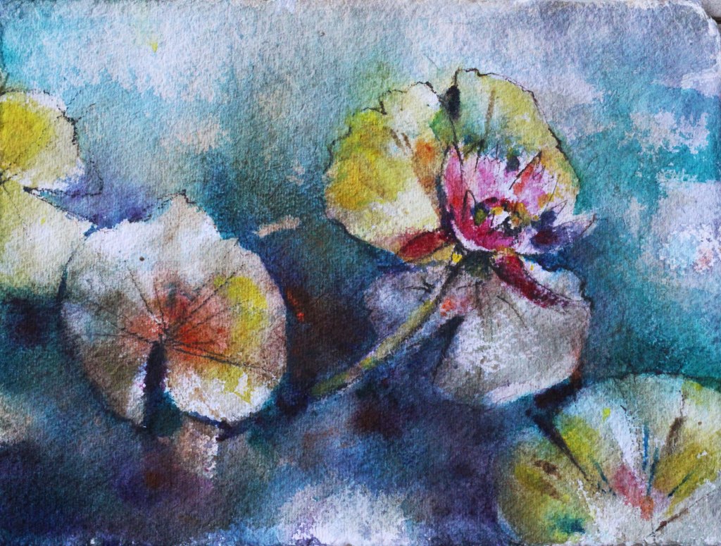 JATKOA VIIMEVUOTISEEN SARJAAN "WATERLILY"