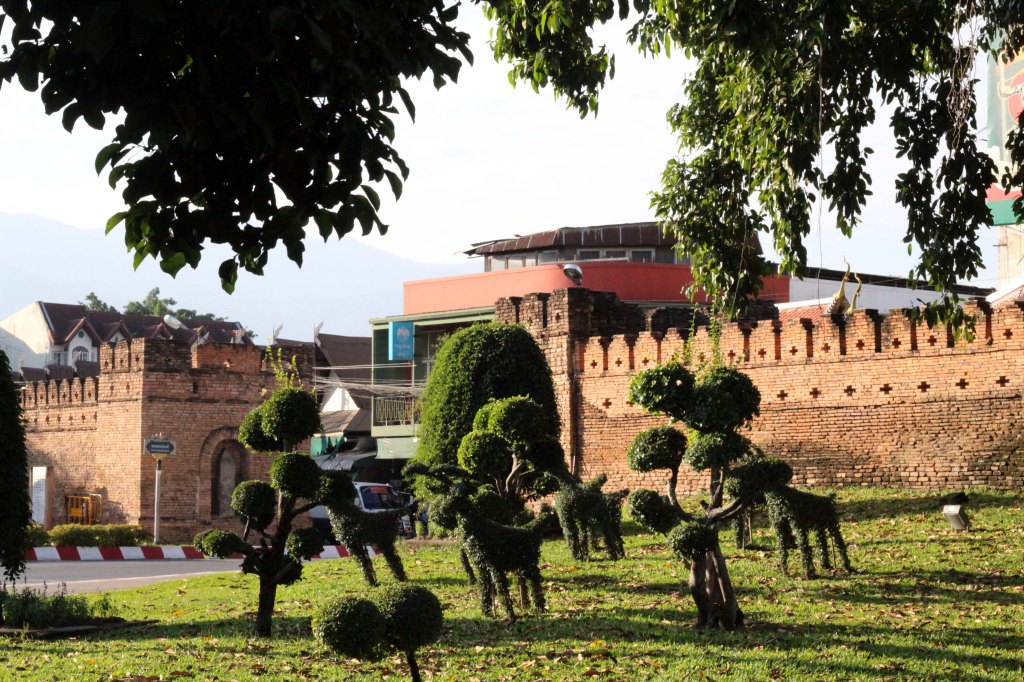 VWKKULEITA ELÄINHAHMOJA VANHANKAUPUNGIN MUURILLA