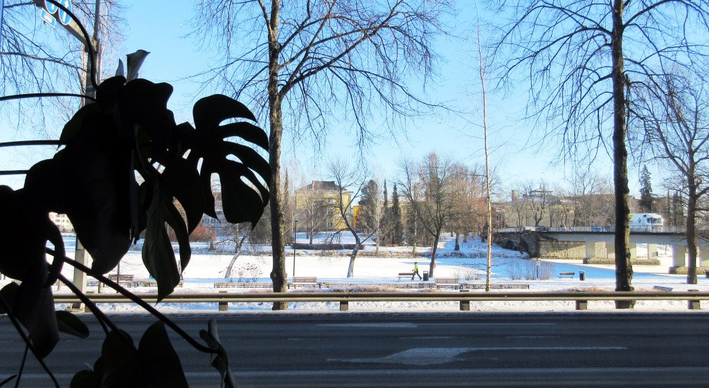 AURINGONPAISTETTA VANAJAVEDELLÄ