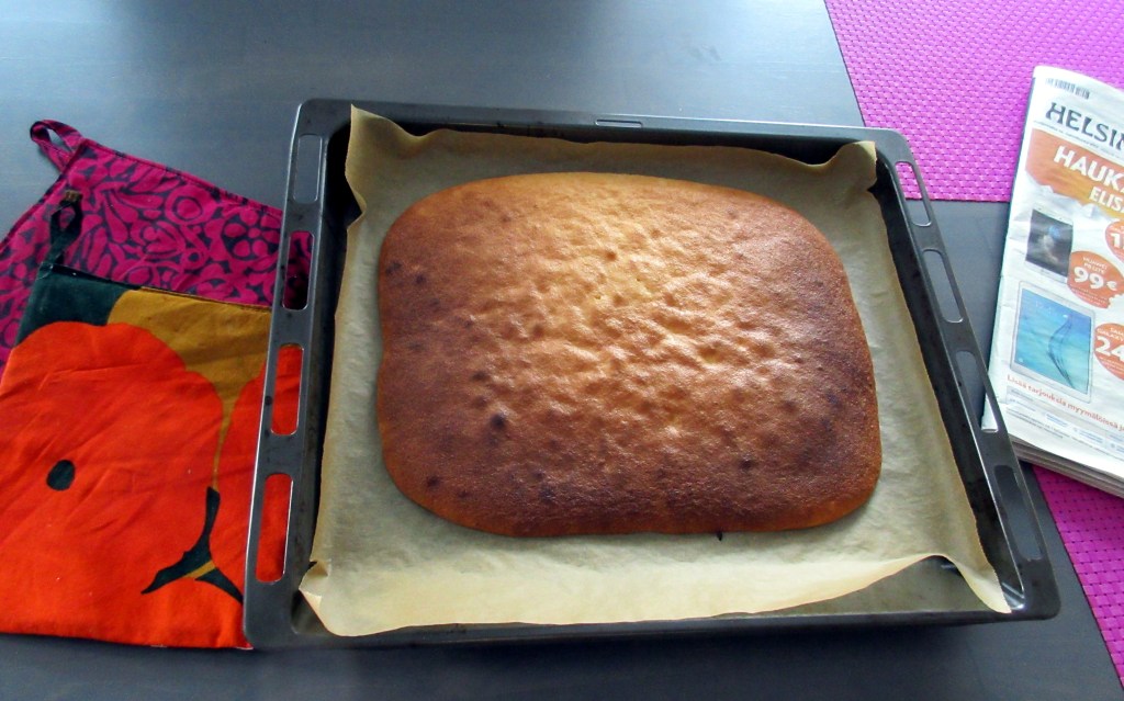 TORTTUPOHJA ONNISTUI