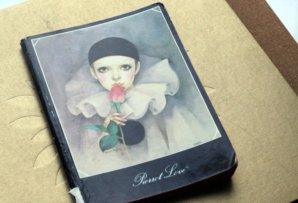 PÄIVÄKIRJA VUOSILTA 1984-87