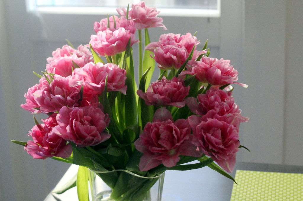 MUHKEA TULPPAANIKIMPPU ILAHDUTTI