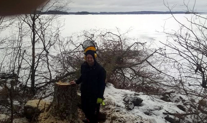 SUURI LEPPÄ ON KAADETTU