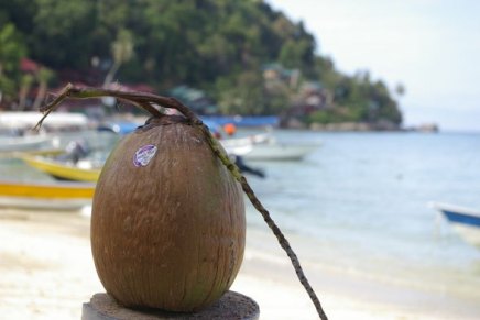 nenät kohti malesiaa