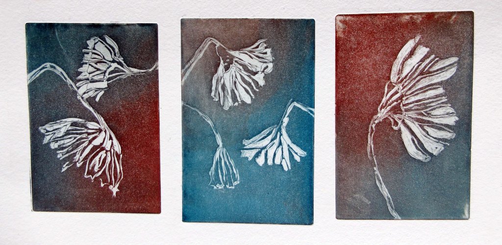 KUKKIA ÖLJYPOHJAISIN VÄREIN