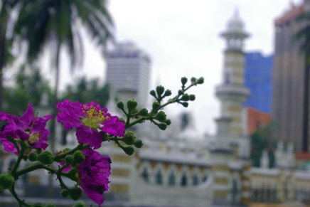 reppuretkellä malesiassa 2003