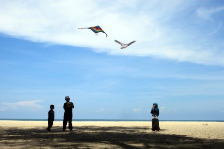 meren rannalla kasuariinapuiden varjossa