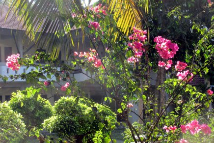 hiljaiseloa suria resortissa&nbsp;merangissa