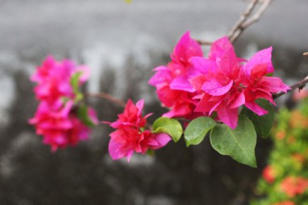 hiljaiseloa altaalla ja&nbsp;hiekkarannalla