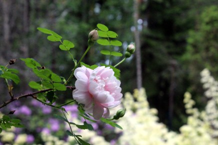 ekspressiivistä maalausta tampereella