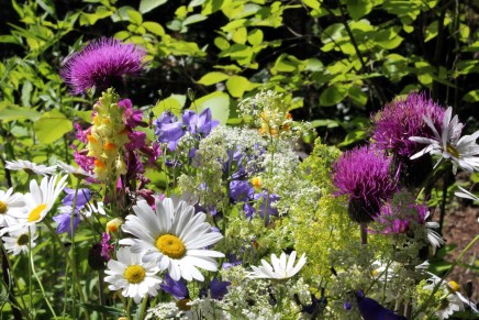 heinäkuun hellettä?