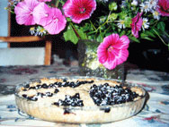 luovan kirjoittamisen kurssi – minustako&nbsp;vegaani