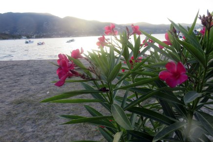 merituulta ja rantapäiviä