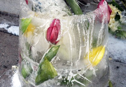 hämeen hiihtolomaviikko