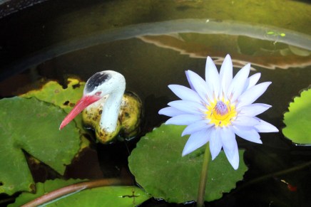 vaihdoimme majapaikkaa