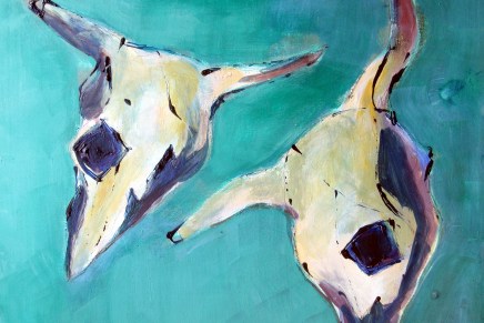 eläinten kalloja ja täytettyjä&nbsp;lintuja