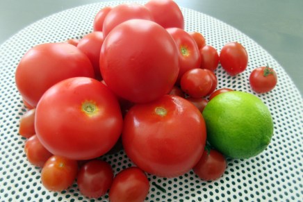 tomaatit pitävät kypsennyksestä