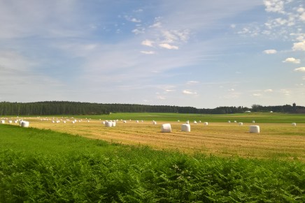 juhannusviikko alkoi tuulisena ja jatkui&nbsp;sateisena