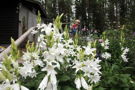 kesälomalaiset valloittivat mökin