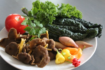 suppilovahveroita ja lehtikaalipaistosta