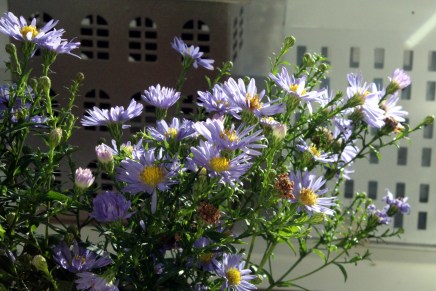 pimeä marraskuu kotisuomessa