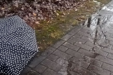 luvassa lämmintä ja kosteaa&nbsp;harmautta