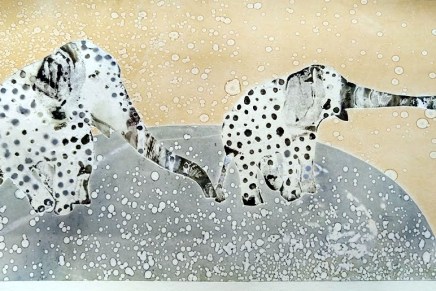 villi luonto osa&nbsp;2