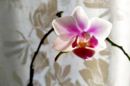 tammikuu on lopuillaan