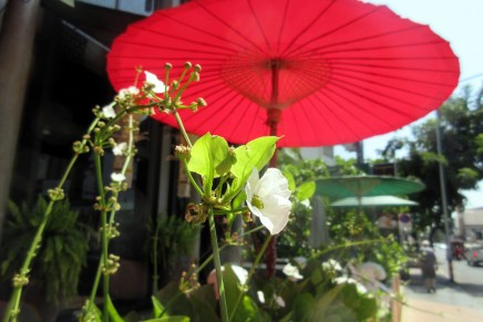 toukokuun mietteitä