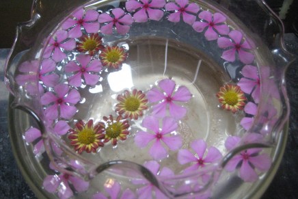 blinikutsut – luku&nbsp;16