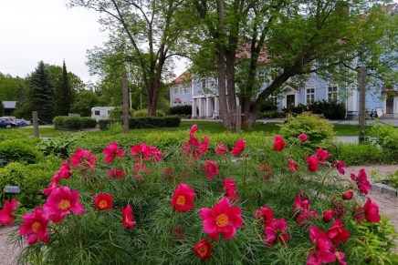 havaitse elämäsi tarinat