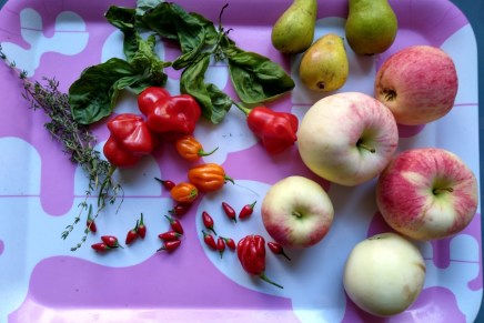 jussin juhlaviikot jatkuivat