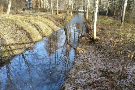 marraskuu toi pakkaset