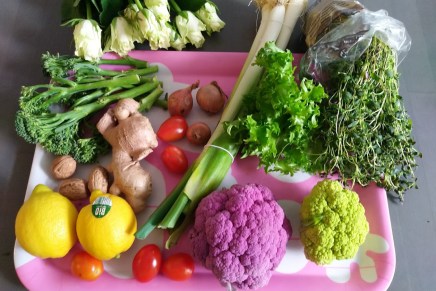 iloa värikkäistä kasviksista