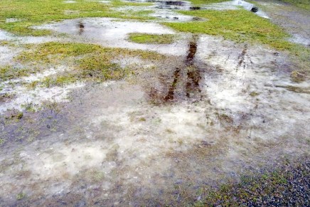 merkillinen helmikuu