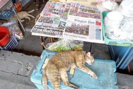 tervetuloa karanteeniin