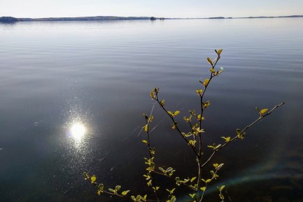 mökkikesä 2020 alkoi&nbsp;toukokuussa