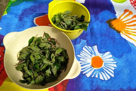 wokattuja villivihanneksia